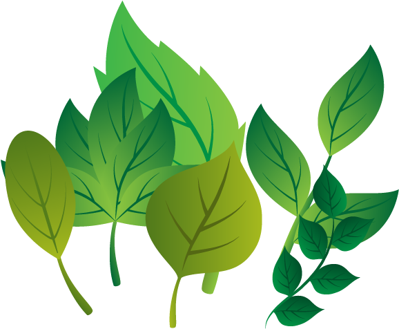 Leaf Vector Download - Вектор Листочки Пнг (642x520), Png Download
