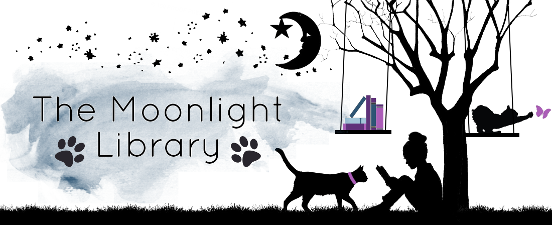 The Moonlight Library - March (1100x448), Png Download