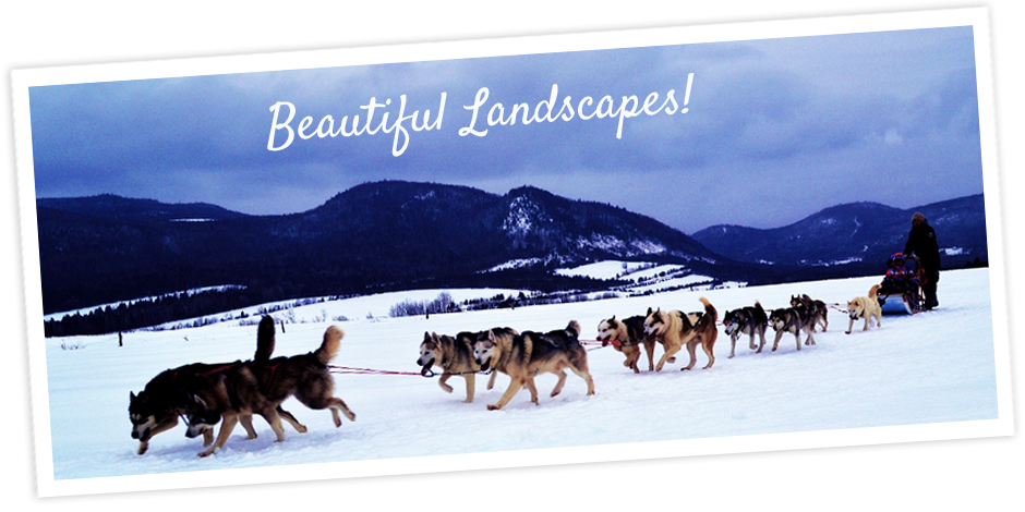 Take Notes On Bookings 25% Of The Price Is Required - Sakhalin Husky (940x470), Png Download