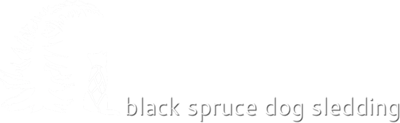 Darkness (1288x396), Png Download