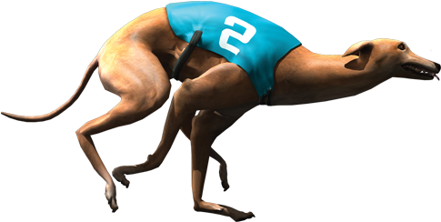 Racing Dog - Virtual Dog (500x315), Png Download