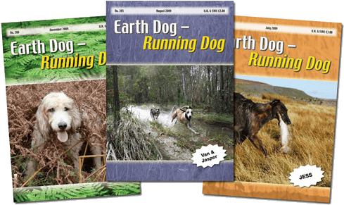 Subscribe To Earth Dog Running Dog Magazine - Working Terrier (500x304), Png Download