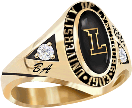 University Of Lynchburg (500x500), Png Download