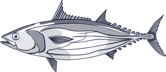 We Only Fish Healthy Stocks - Clip Art (682x394), Png Download