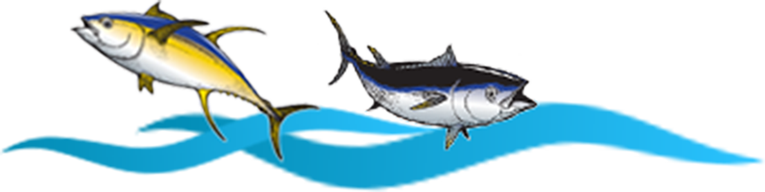 255-3128 - Atlantic Blue Marlin (1107x279), Png Download
