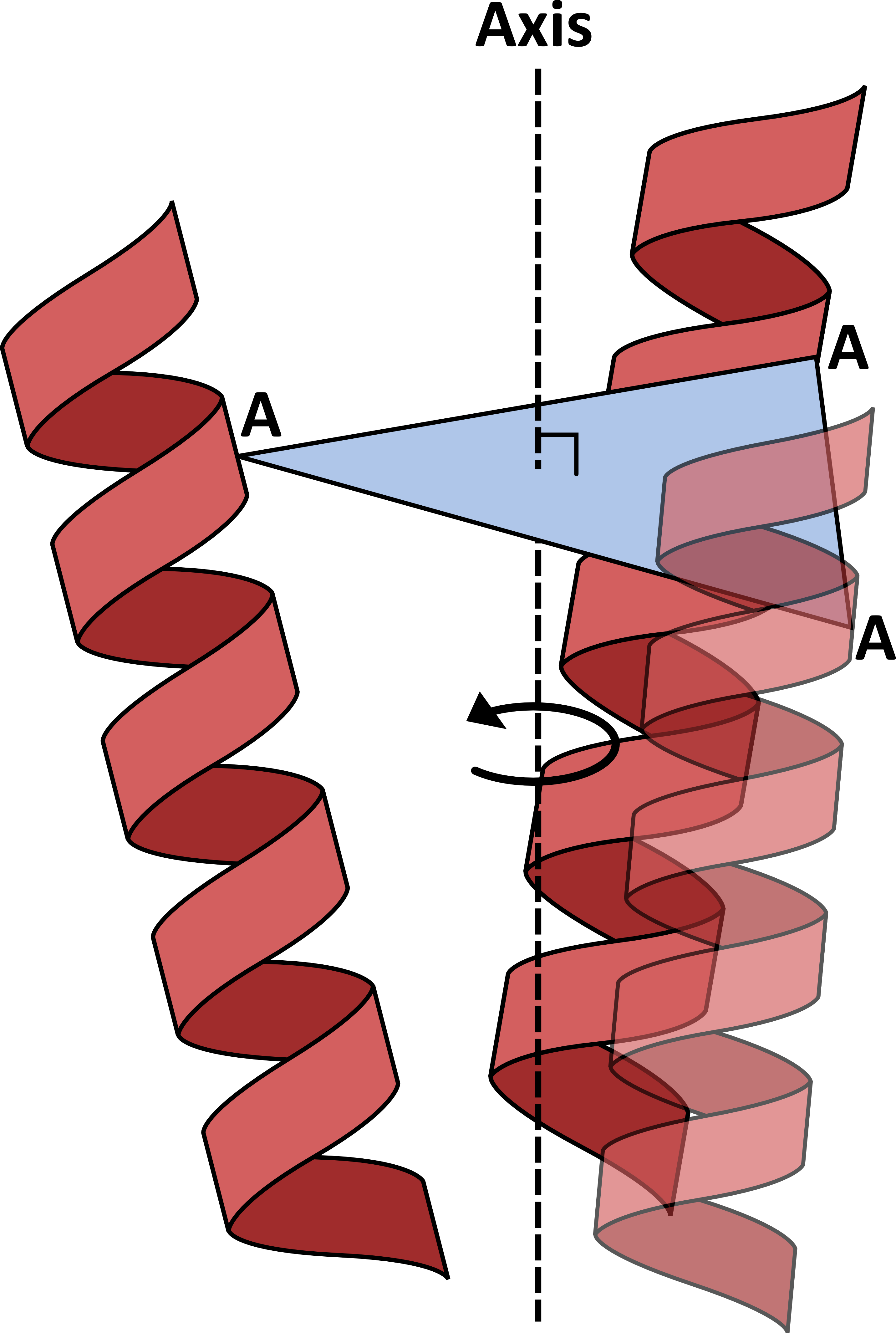 To Run Anglerfish You Will Need - Carmine (2864x4260), Png Download