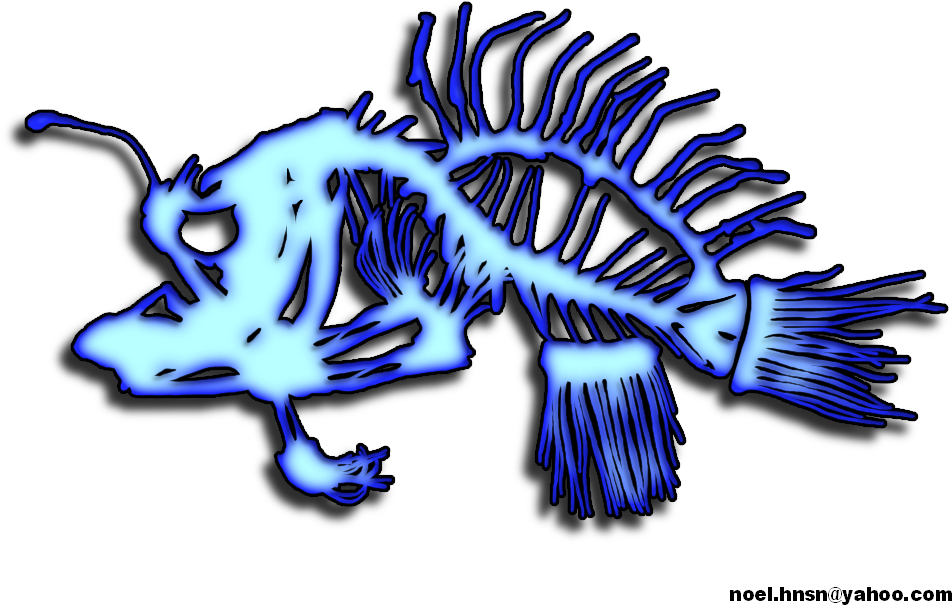 Angler Fish Designs - Drawing (1000x658), Png Download