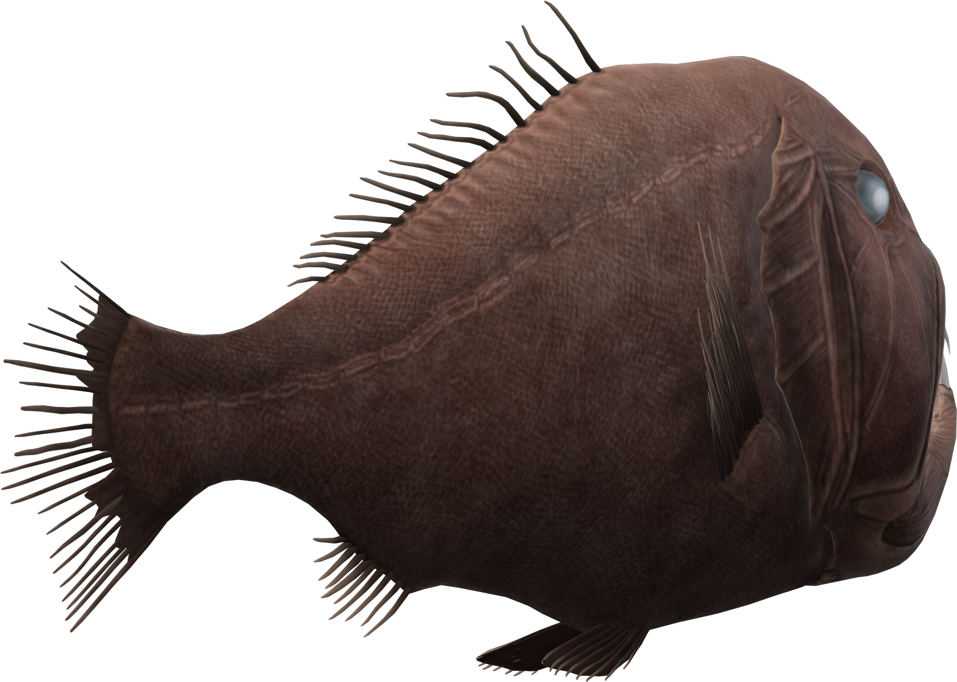 Free Stock Photo Of Sea, Fish, Maritime - Halibut (3748x2108), Png Download