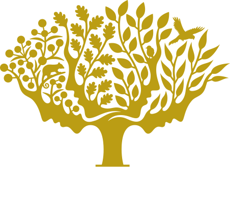 Royal Botanic Gardens Melbourne - Royal Botanical Gardens Victoria Logo (452x432), Png Download