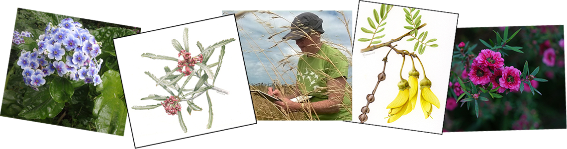 For More Information About Artists And Works Selected - House Fly (1140x300), Png Download