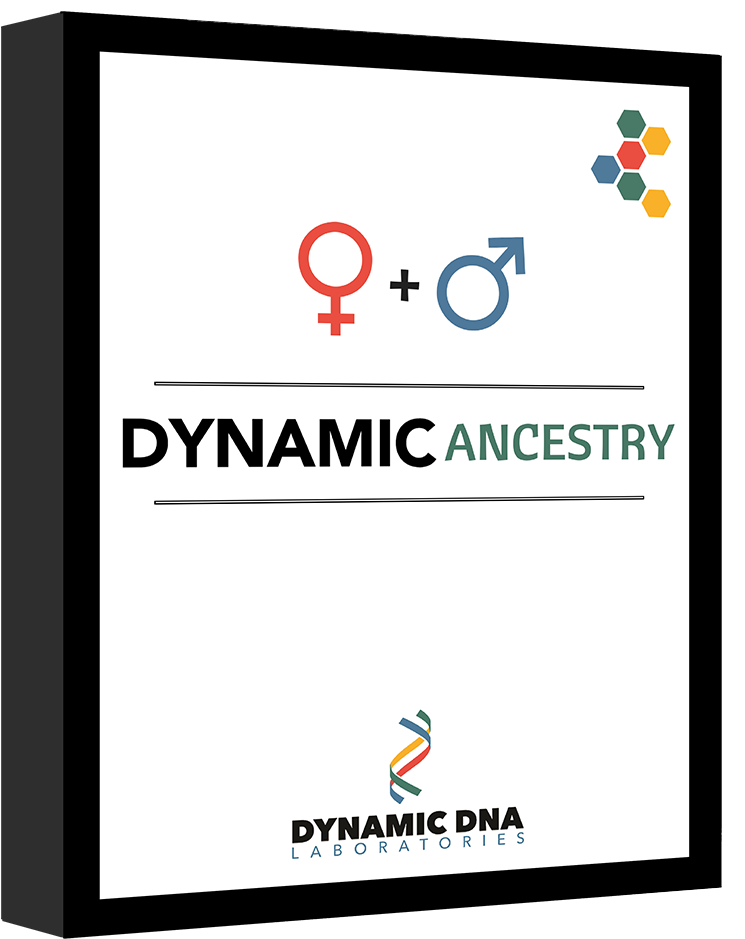 Comprehensive Dna Test - Circle (768x972), Png Download