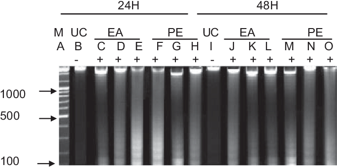 Effect Of Ea And Pe (petroleum Ether) Extracts On Dna - Number (685x345), Png Download