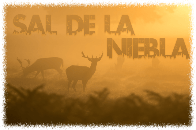 Sal De La Niebla - Elk (640x427), Png Download