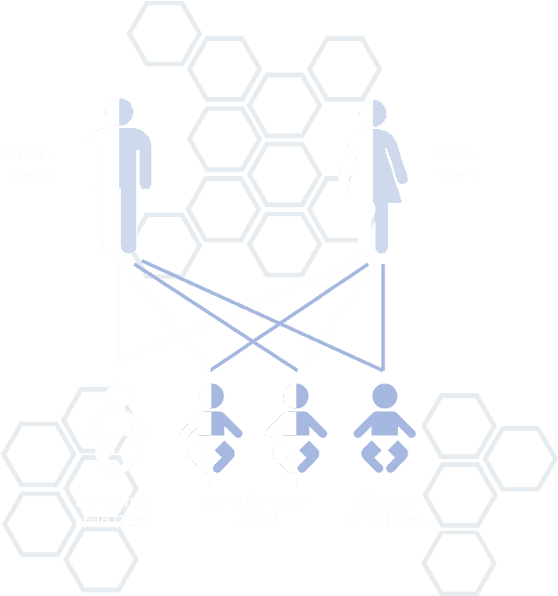 Carrier Status Infographic - Wickelraum (641x671), Png Download