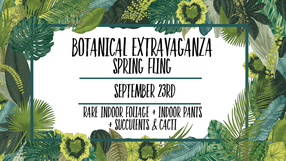 Untitled 22 01 (1000x563), Png Download
