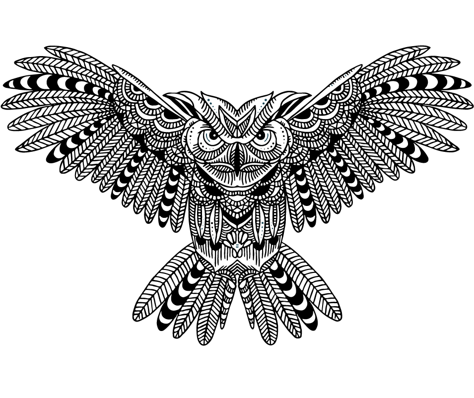 Owl (1000x1000), Png Download