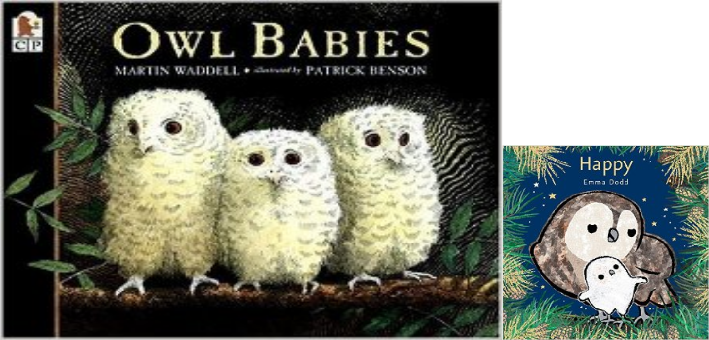 If You Love Owls, Too, And You Missed Today's Storytime, - Owl Babies - Paperback (1460x701), Png Download