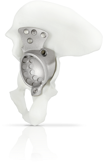 For - Bust (600x600), Png Download