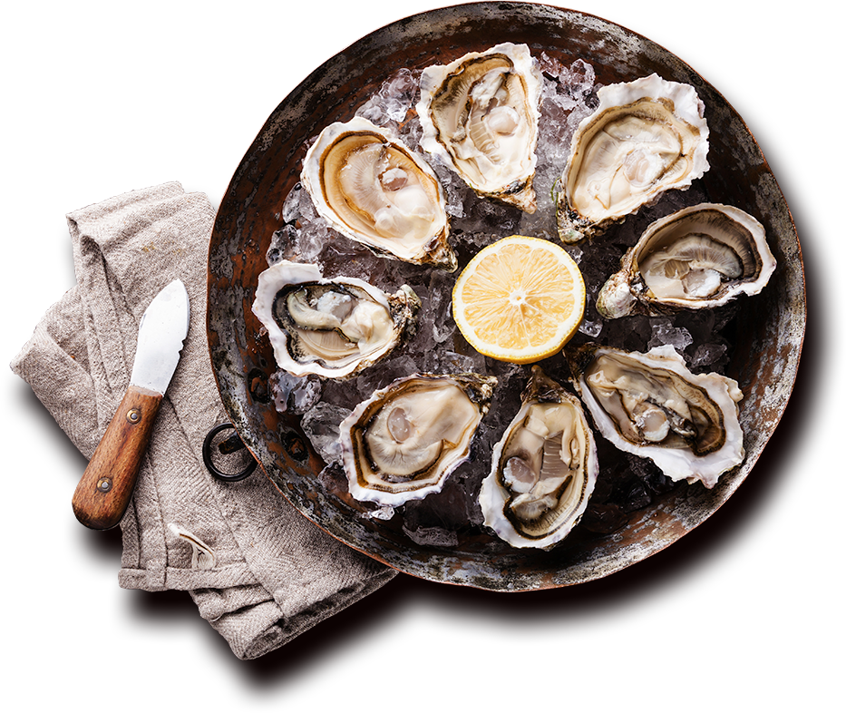 We Are John Gross & Company - Oyster Background (933x786), Png Download