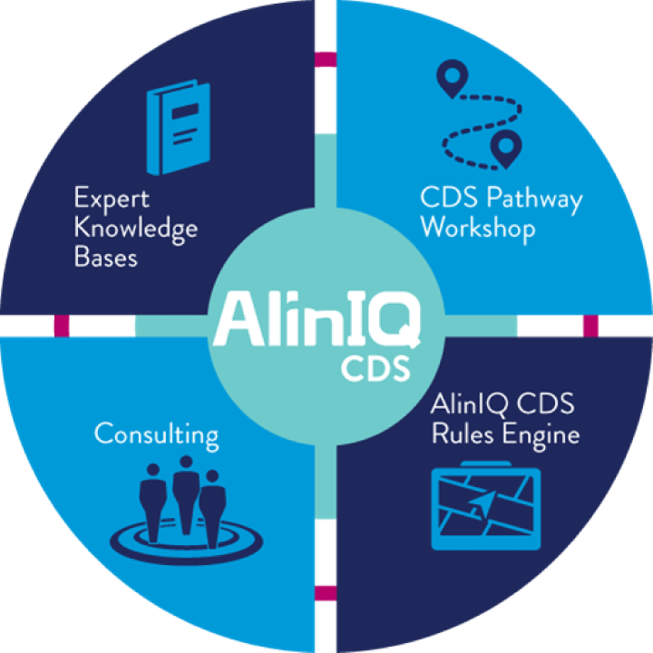 Aliniq Clinical Decision Making Wheel Image - Aliniq Cds (720x720), Png Download