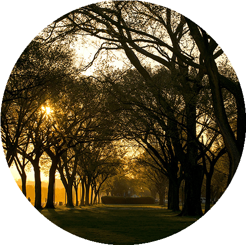 Apartment Amenities And Features In Washington, Dc, - Commodore Barney's Young Spies (506x513), Png Download