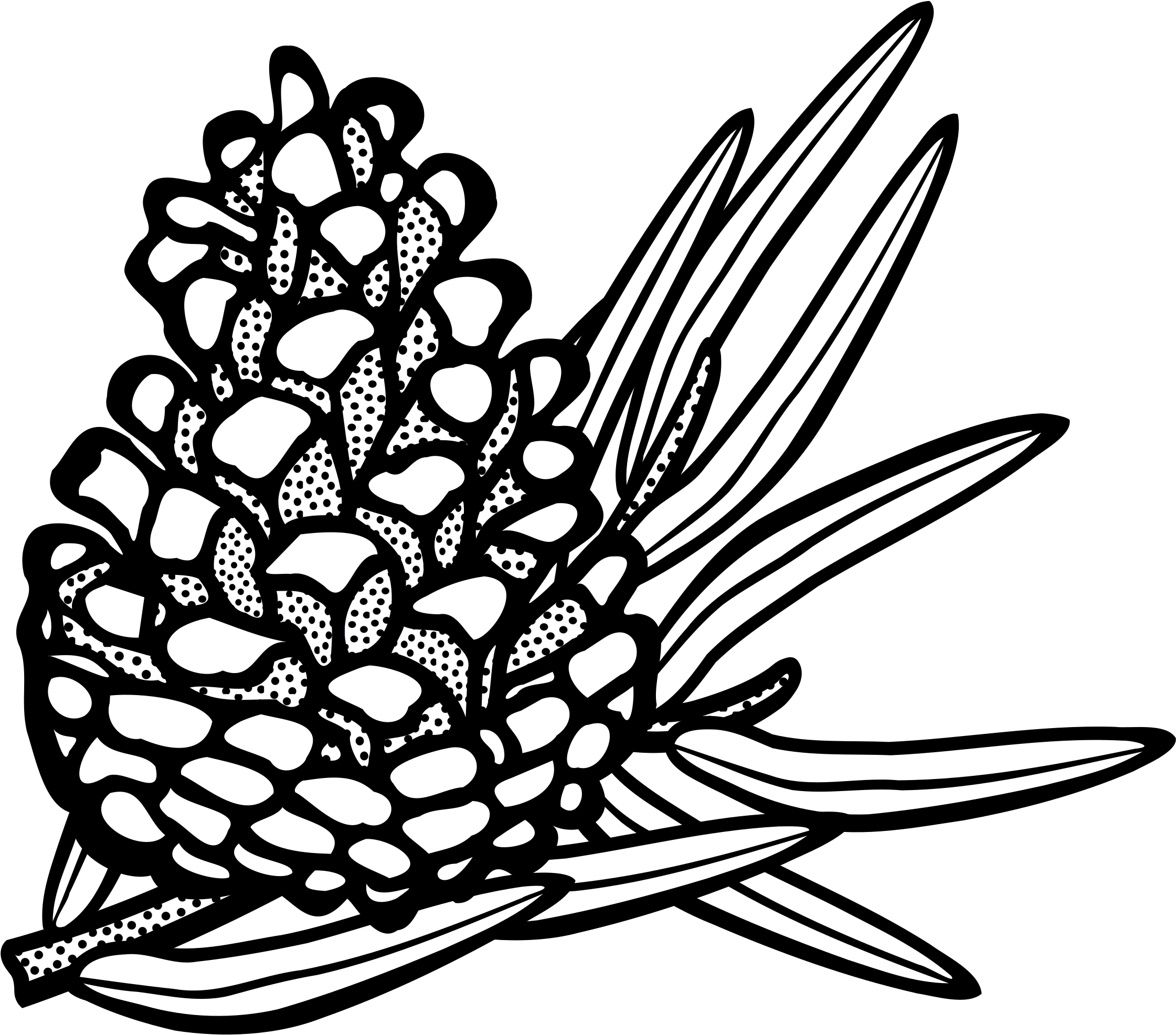 This Free Icons Png Design Of Conifer Cone (2400x2250), Png Download