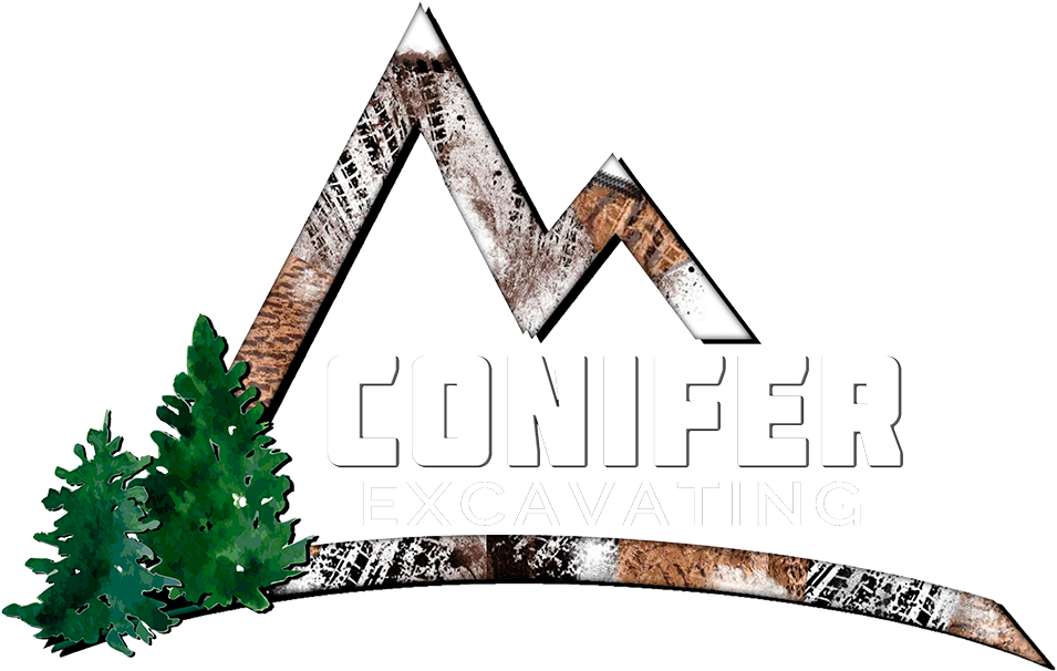 Spruce (1000x615), Png Download