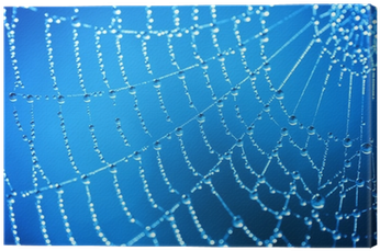 Dew (400x400), Png Download