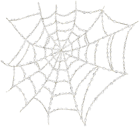 Spider Web Png - Spider Web (500x500), Png Download