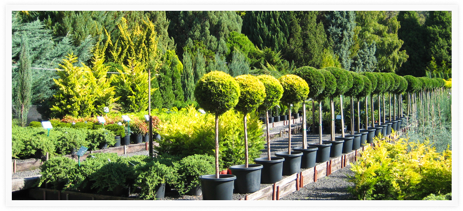 Play Pause - Thuya (940x430), Png Download