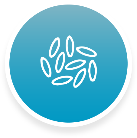 By Michael Wells - Blue Button (453x457), Png Download