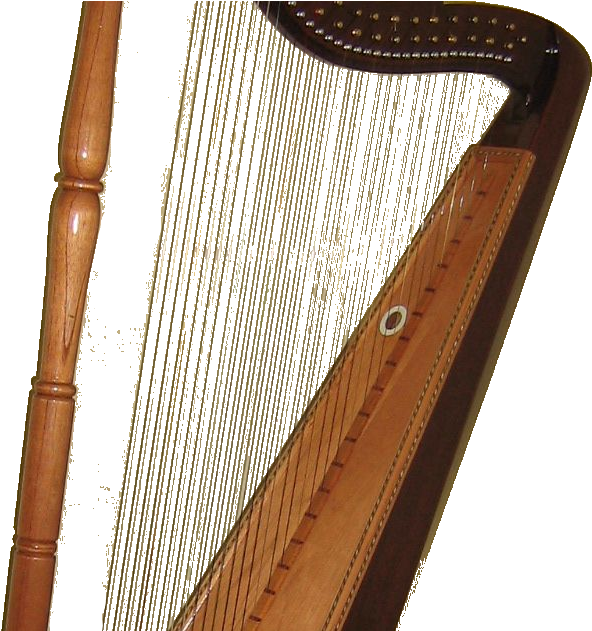 Arpa Llanera (812x630), Png Download