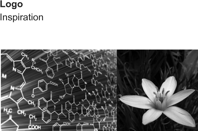 All The Design Was Aimed At Maximized Functionality, - African Daisy (1500x1000), Png Download