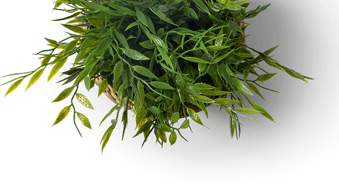 17988-plan - Cafe Branding Mockup Psd (668x362), Png Download