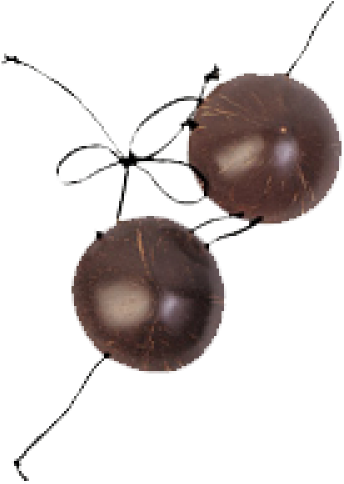 Hawaiian Hula Grass Skirt Set Real Raffia Coconut Bra (500x500), Png Download
