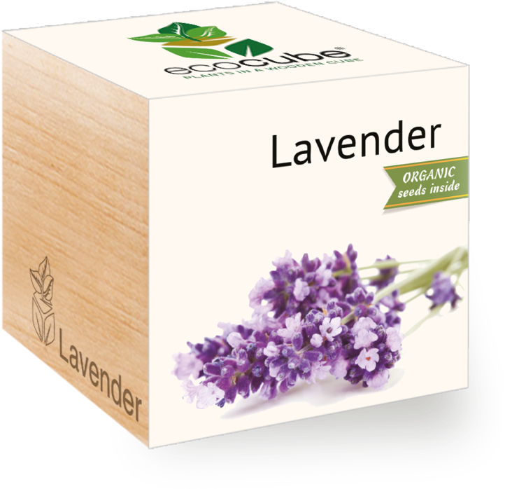 Mint - Feelgreen Gyo Biodegradable Ecocube Lavender Seeds (400x400), Png Download