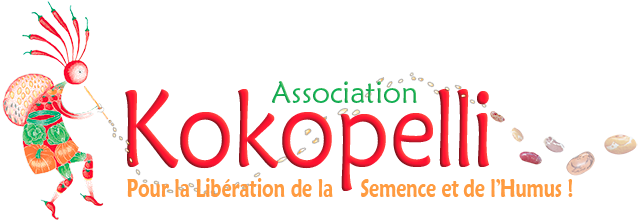 Logohd - Kokopelli (679x238), Png Download