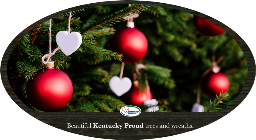 Why Buy Kentucky Proud - Christmas Day (950x534), Png Download