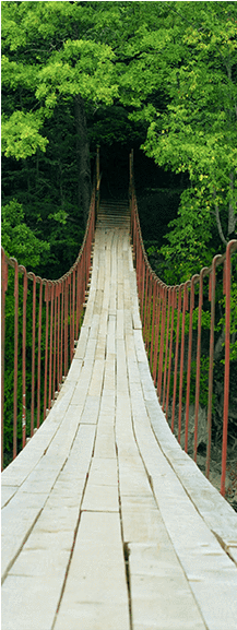 Suspension Bridge Door Mural Landscapes & Nature Eazywallz - Фотообои Мост В Лесу (576x576), Png Download