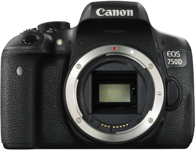 Canon Eos Logo Png Download - Canon Eos 800d Body (800x800), Png Download