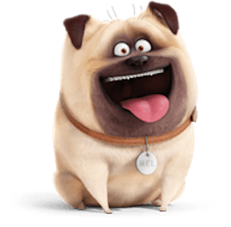 Mel The Secret Life Of Pets - Mel From Secret Life Of Pets (482x489), Png Download