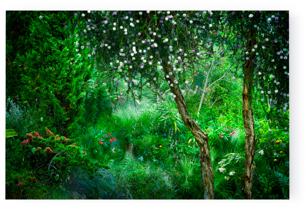 Photo Le Jardin Eden - Garden (1000x667), Png Download