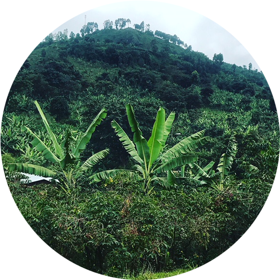 Matendooffering4 - Hill (597x589), Png Download