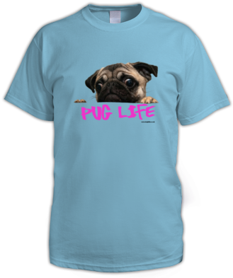 Light Blue - Keyring Pug Dog Face Sadness Cookies 16605 (394x394), Png Download