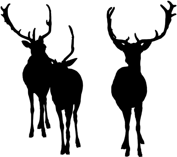 Deer Bucks Deersilhouette Silhouette - Elk (1024x1024), Png Download