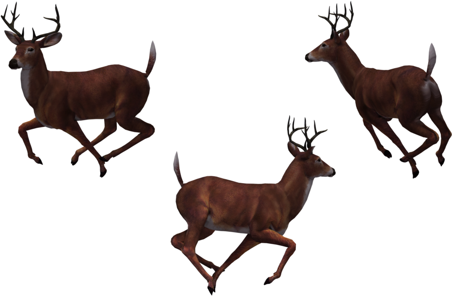 Deer Heart Picture Stock Photo Techflourish Collections - Deer (1024x645), Png Download