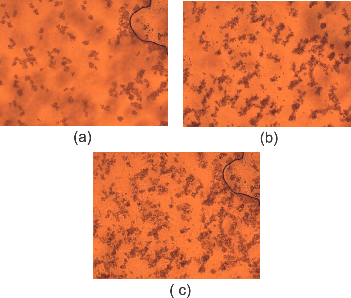 Test Images Acquired From Metallic Samples - Aperture (705x598), Png Download