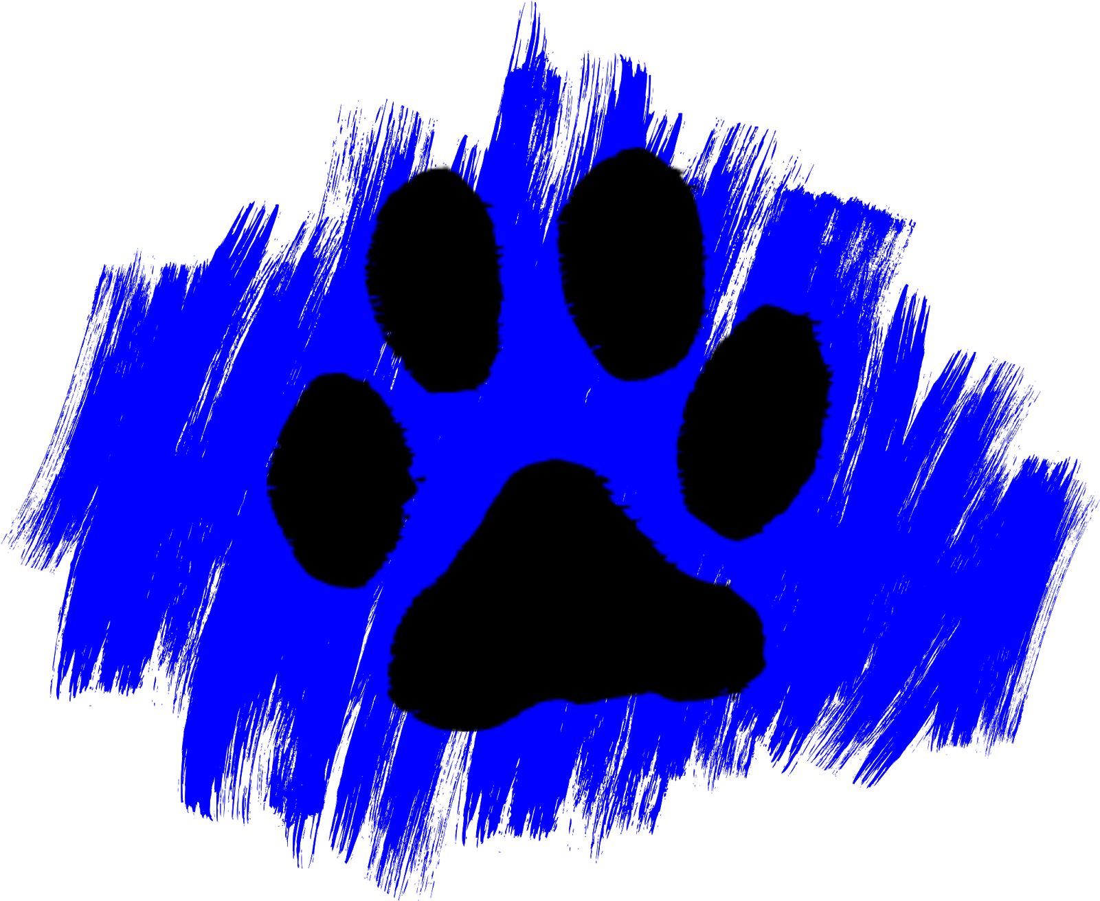 Take A Second Look, Maybe Even A Third Or Fourth, At - Blue Paws (1600x1600), Png Download