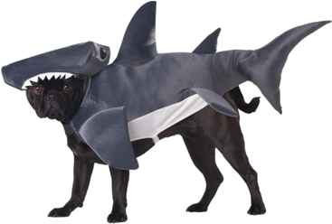 Sharknado Dog Costume - Dogs In Taco Costumes (366x580), Png Download