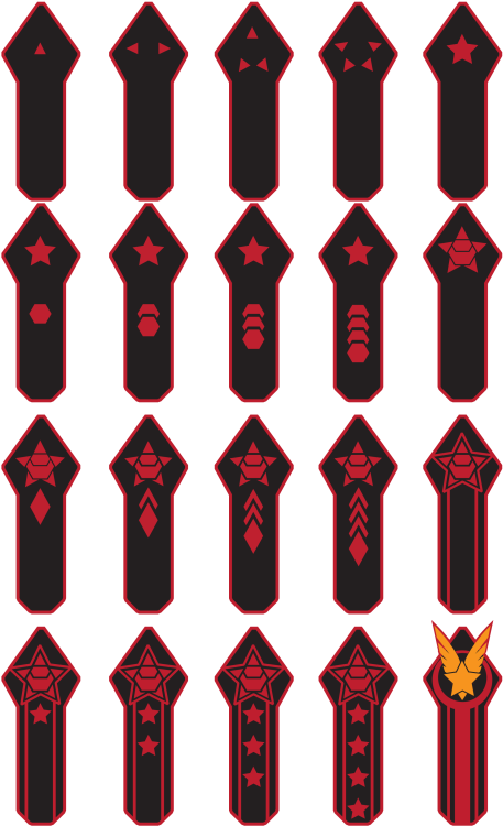 Perhaps That Older Information Is Simply No Longer - Sci Fi Rank Insignia (600x776), Png Download